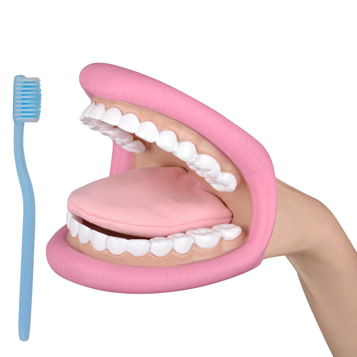 Ultrassist Muñeca Guante Modelo Dientes, Modelo Dental Docencia en Odontología Pediátrica, Adecuado para el Aprendizaje del Cuidado Bucal de los Niños, Incluido el Cepillo deDientes
