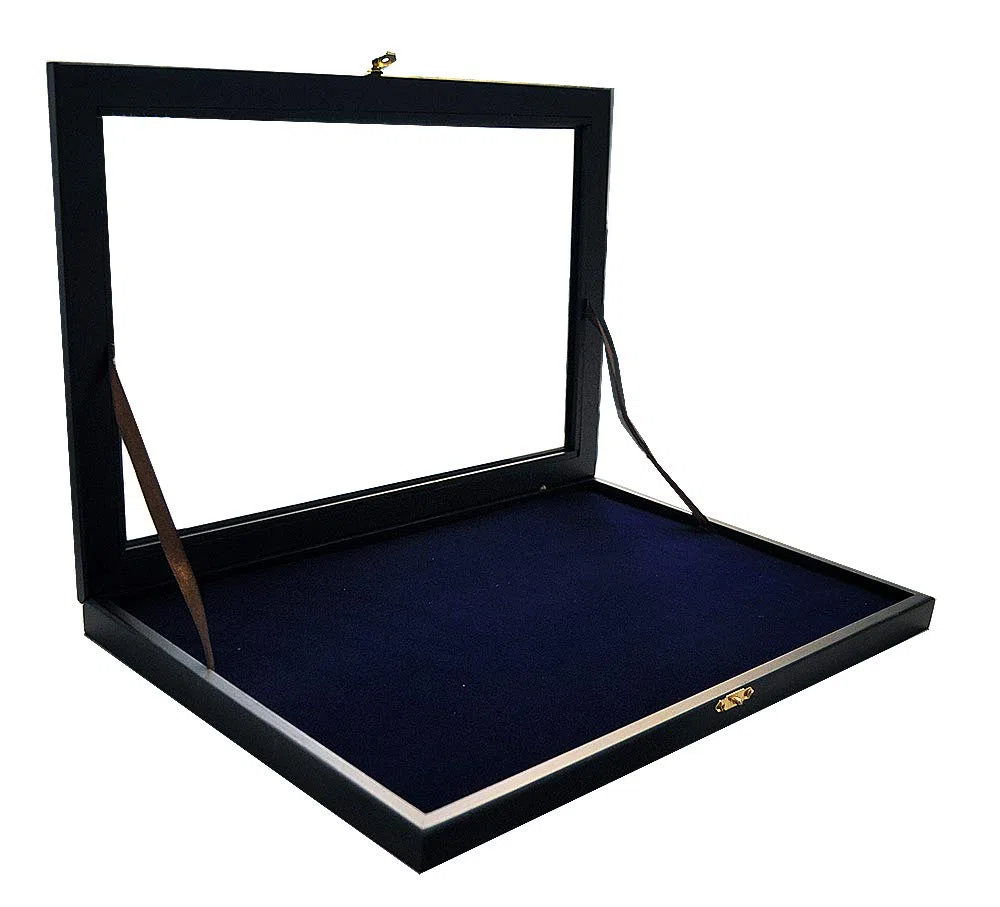 5810 - Vitrina de madera para 100 pines, color negro
